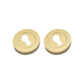 Euro Profile Escutcheon