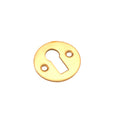 Victorian Key Hole Open Escutcheon
