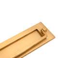 Spira Brass Regency Knocker Postal Plate measuring 250mm in a polished brass finish, featuring a rectangular design with a knocker handle. The plate has smooth edges and a clean surface for mounting.