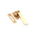 Polished Brass