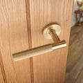 Galaxy Lever on Rose