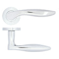 Cadiz Lever on Rose