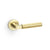 Satin Brass PVD