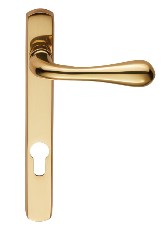 Astro Lever on Euro Lock Narrow Plate