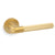 Satin Brass PVD