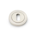 Standard Profile Concealed Fix Escutcheon Satin Nickel Love Handles uk