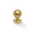 Satin Brass PVD / 25mm