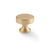 Antique Brass