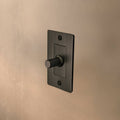 Buster + Punch 1G Wall Plate / Blank lifestyle