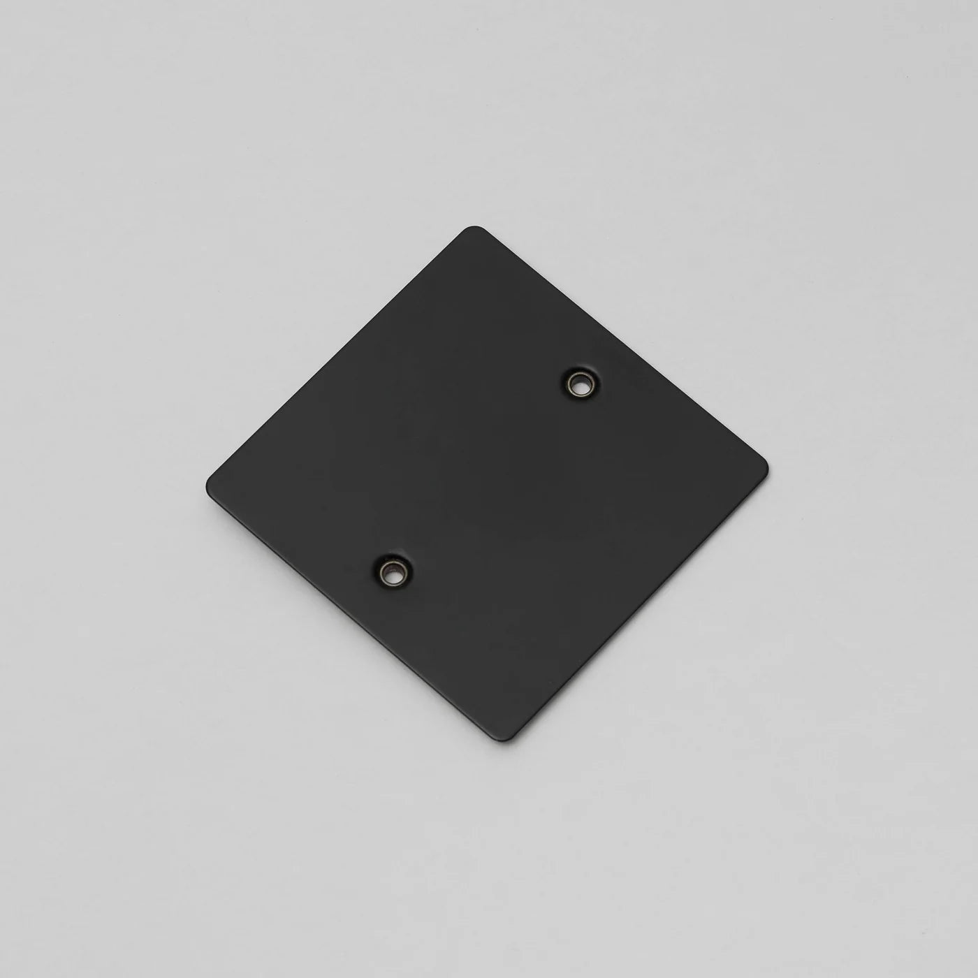 Buster + Punch Wall Plate