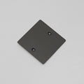 Buster + Punch Wall Plate