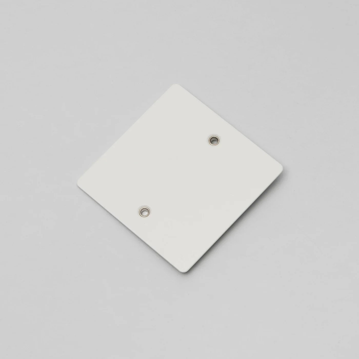 Buster + Punch Wall Plate