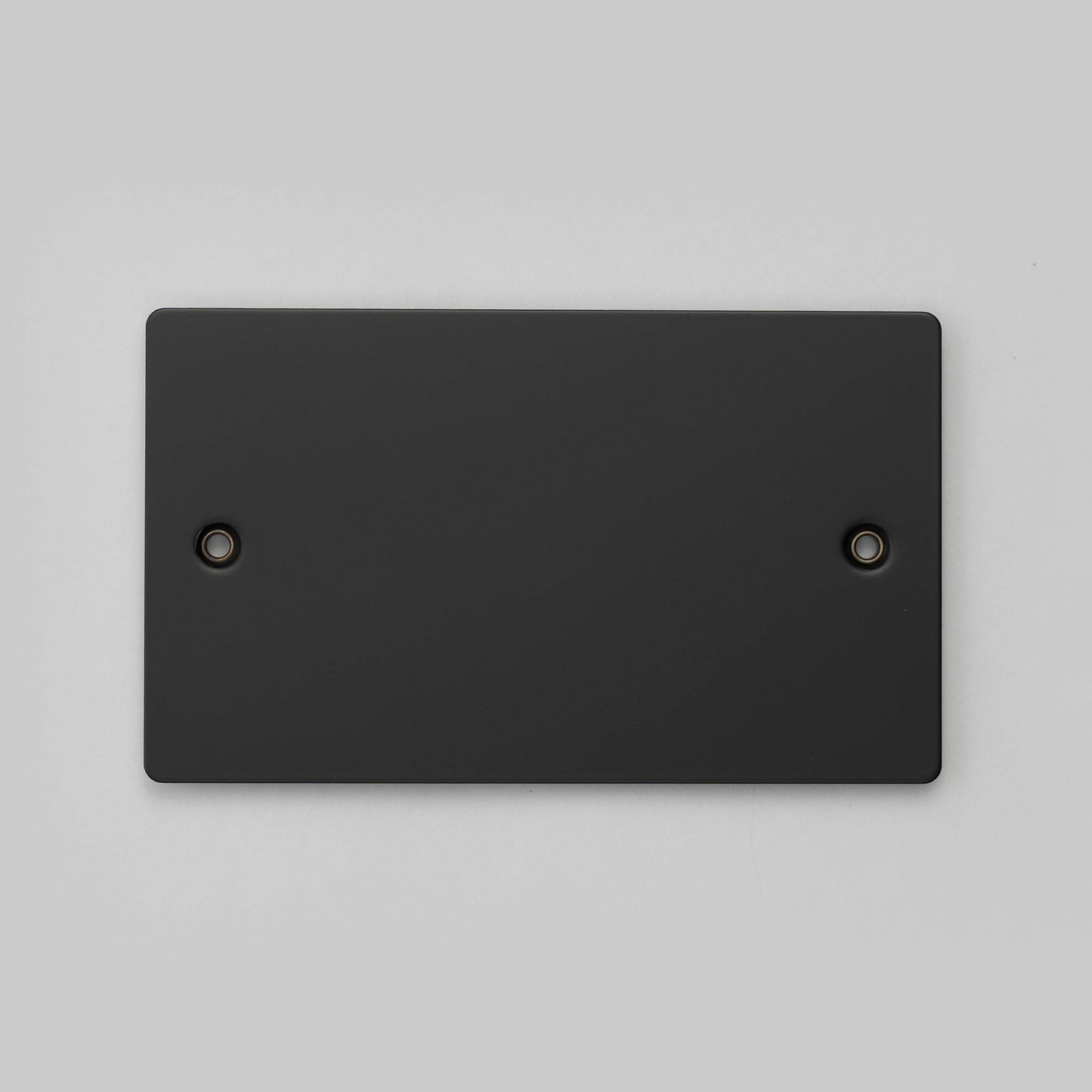 Buster + Punch 2G Wall Plate / Blank