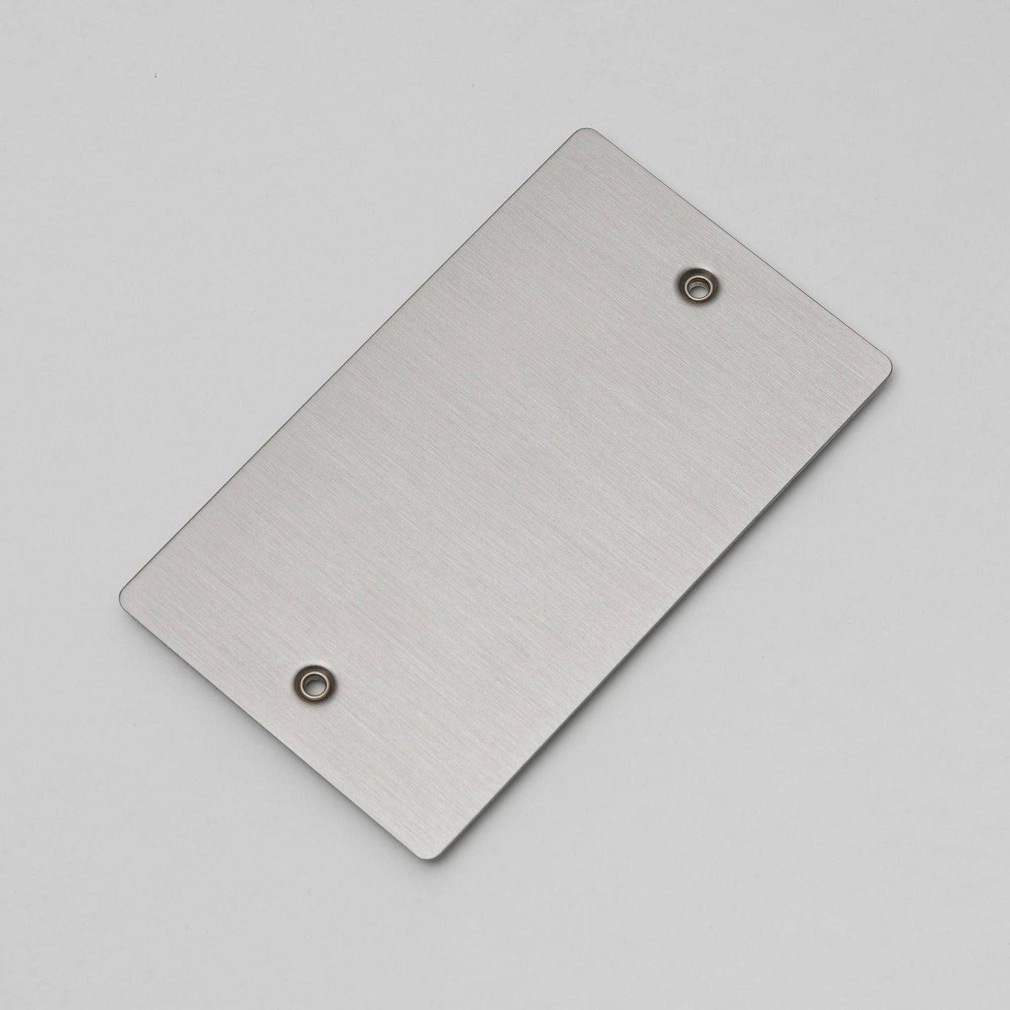 Buster + Punch 2G Wall Plate / Blank Steel