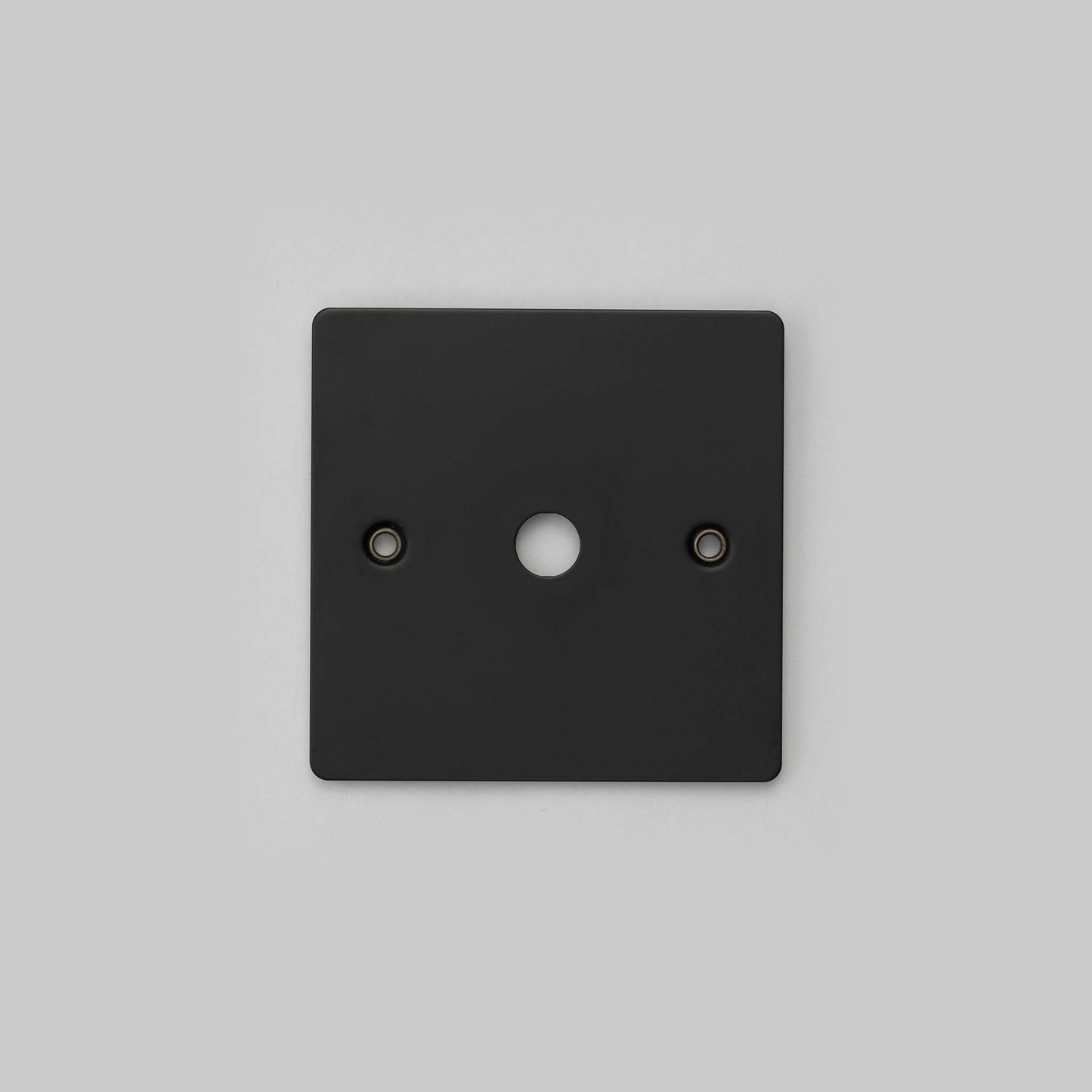 Buster + Punch 1G Wall Plate / Dimmer Or Toggle
