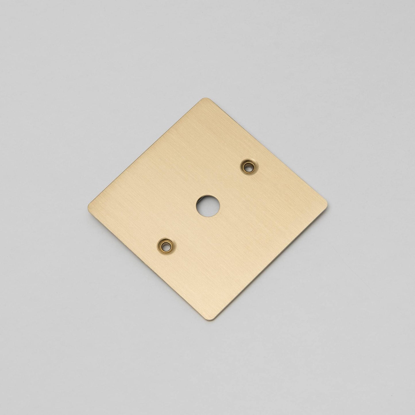 Buster + Punch 1G Wall Plate / Dimmer Or Toggle Brass