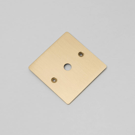 Buster + Punch 1G Wall Plate / Dimmer Or Toggle Brass