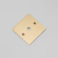 Buster + Punch 1G Wall Plate / Dimmer Or Toggle Brass