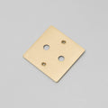 1G Wall Plate / For 2 Dimmers Only - Brass