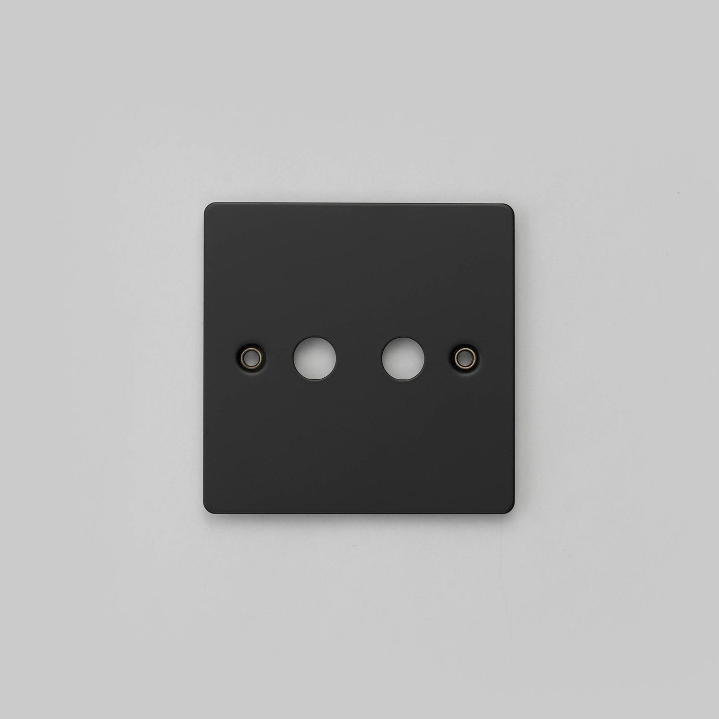 Buster + Punch 1G Wall Plate / For 2 Toggles Only