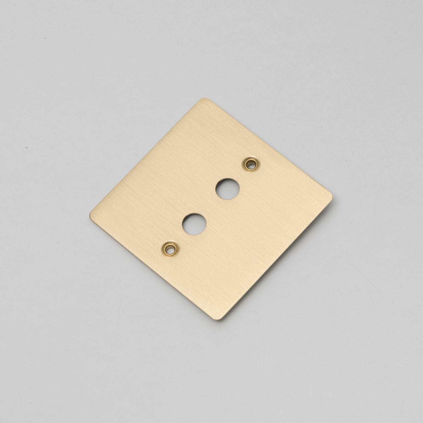Buster + Punch 1G Wall Plate / For 2 Toggles Only Brass