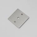 Buster + Punch 1G Wall Plate / Dimmer Or Toggle Steel