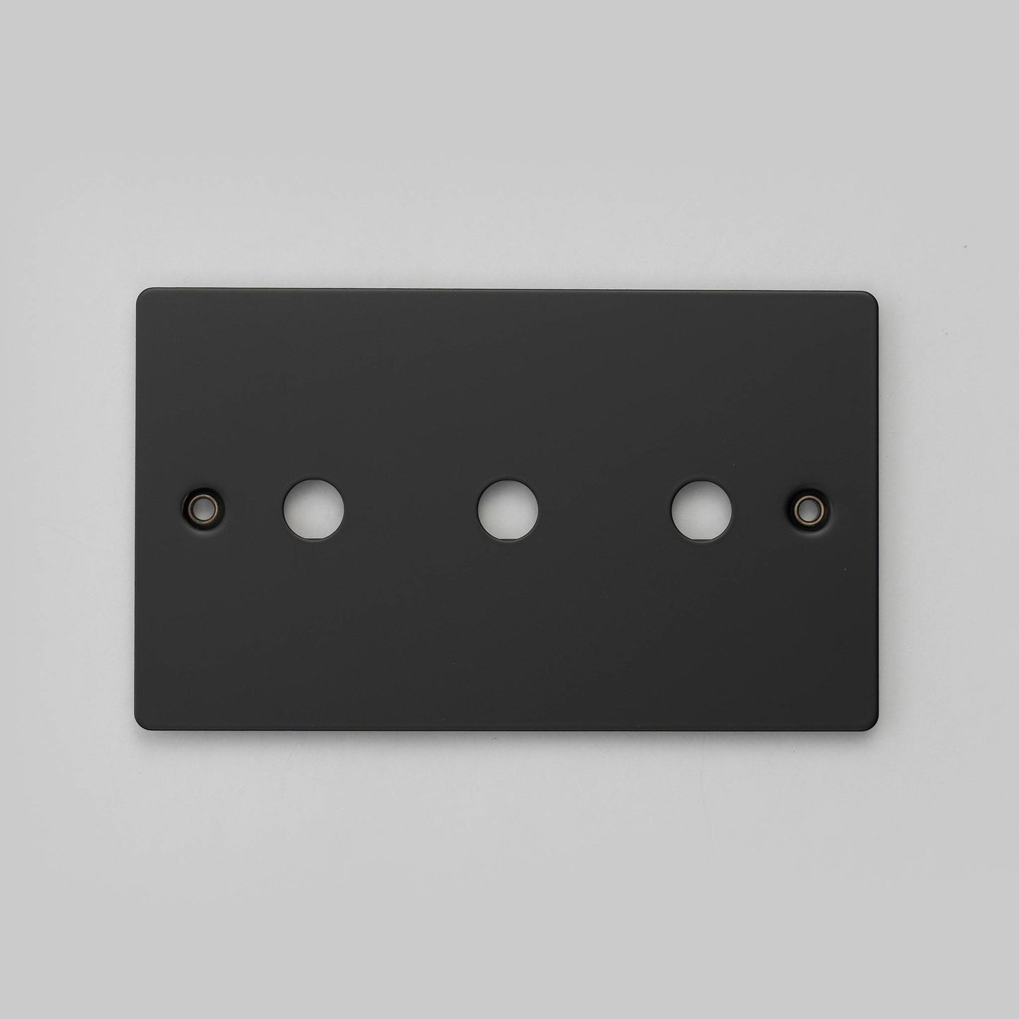 2G Wall Plate / For 3 Dimmers Or Toggles detail
