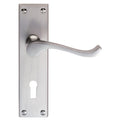 Victorian Scroll Lever on Backplate