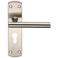 Residential T Bar Lever on Backplate