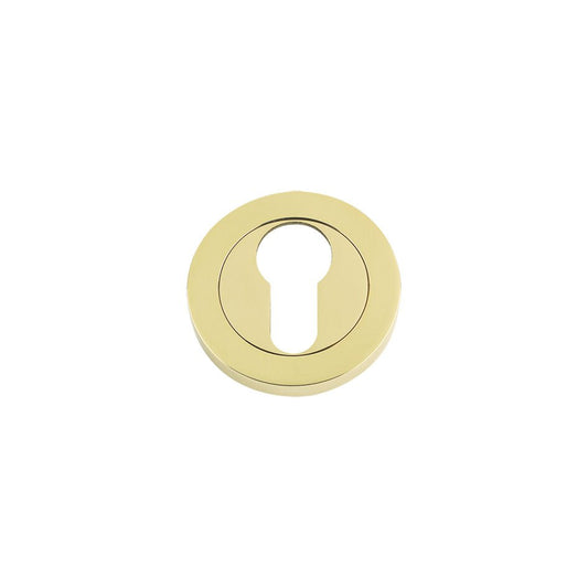 Zoo Hardware Euro Profile Escutcheon in polished brass finish, featuring a circular design with a keyhole opening in the center.