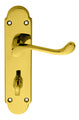 Oakley Lever on Backplate