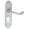 Oakley Lever on Backplate