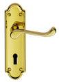 Ashtead Lever on Backplate