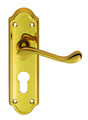Ashtead Lever on Backplate
