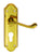 Polished Brass / 168mm x 48mm / Lock – Euro