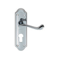 Ashtead Lever on Backplate