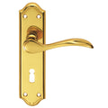 Carlisle Brass Madrid Lever on Backplate in polished gold finish, featuring a decorative backplate and a curved lever handle, designed for use with standard door locks.
