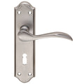 Carlisle Brass Madrid Lever on Backplate in a satin nickel finish, featuring a curved lever handle mounted on an elongated backplate with a keyhole and screw holes for installation.