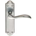 Carlisle Brass Madrid Lever on Backplate in a brushed stainless steel finish, featuring a curved lever handle mounted on an elongated backplate with decorative edges.