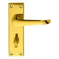 Victorian Ascot Lever on Backplate