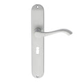 Andros Lever on Backplate