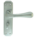 Eden Lever on Backplate