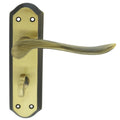 Lytham Lever on backplate