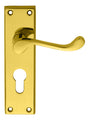 Victorian Scroll Lever on Backplate