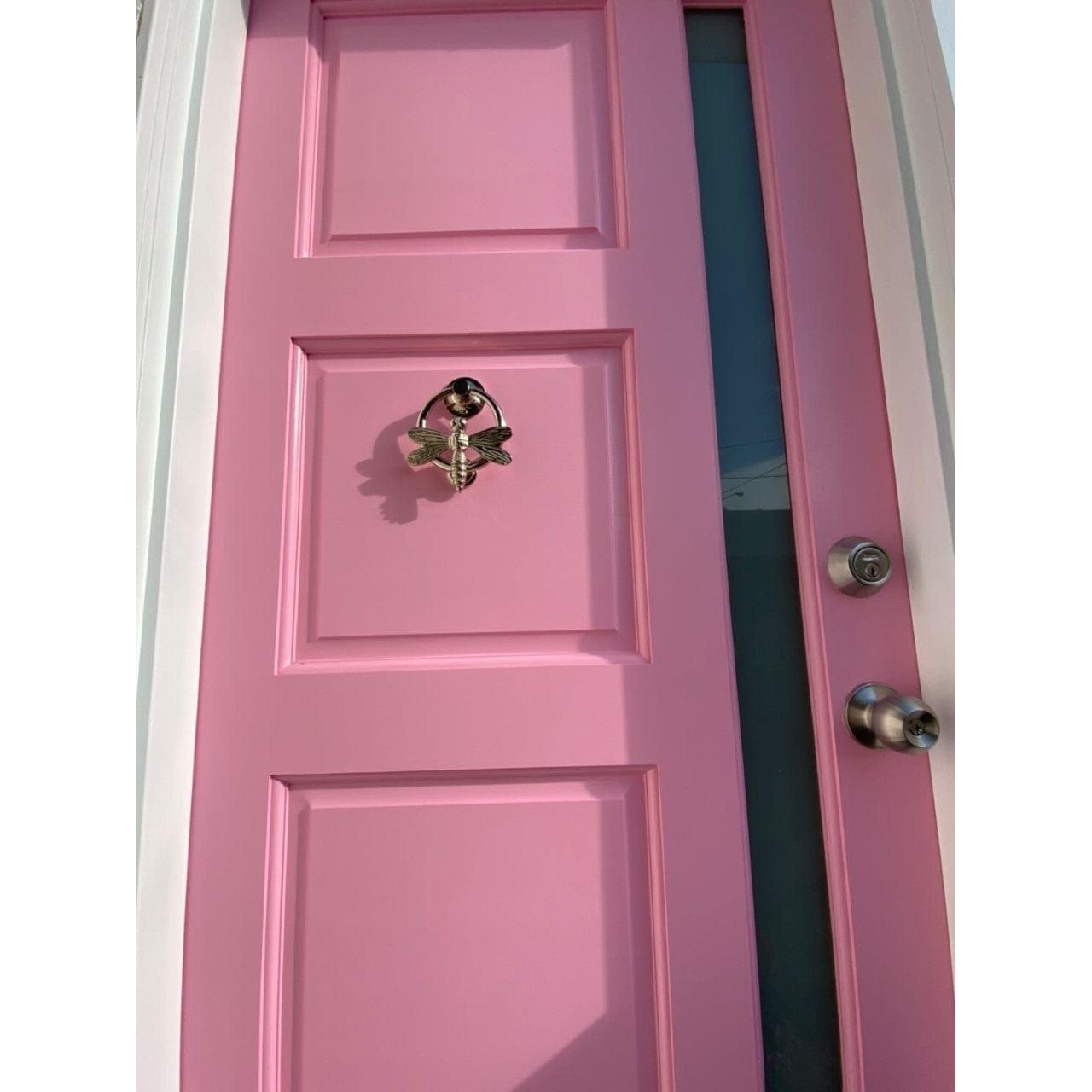 Brass Dragonfly Door Knocker with Ring - Nickel Finish - Brass bee