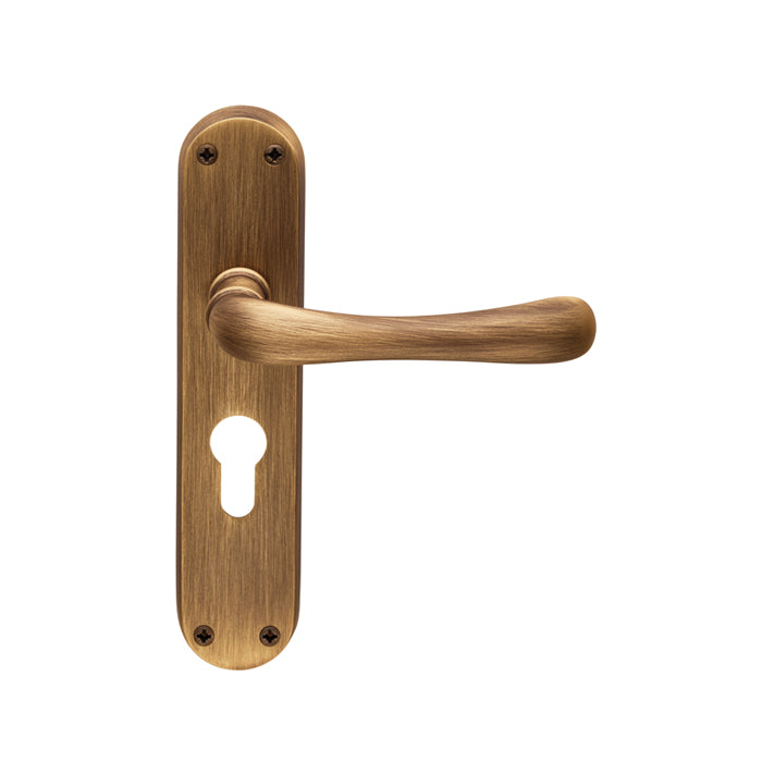 Ibra Lever on Backplate Range