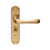 Satin Brass / Bathroom / 185mm x 42mm Backplate