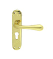 Astro Lever on Backplate