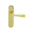 Polished Brass / Latch / 185mm x 42mm Backplate
