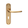 Lilla Lever on Backplate